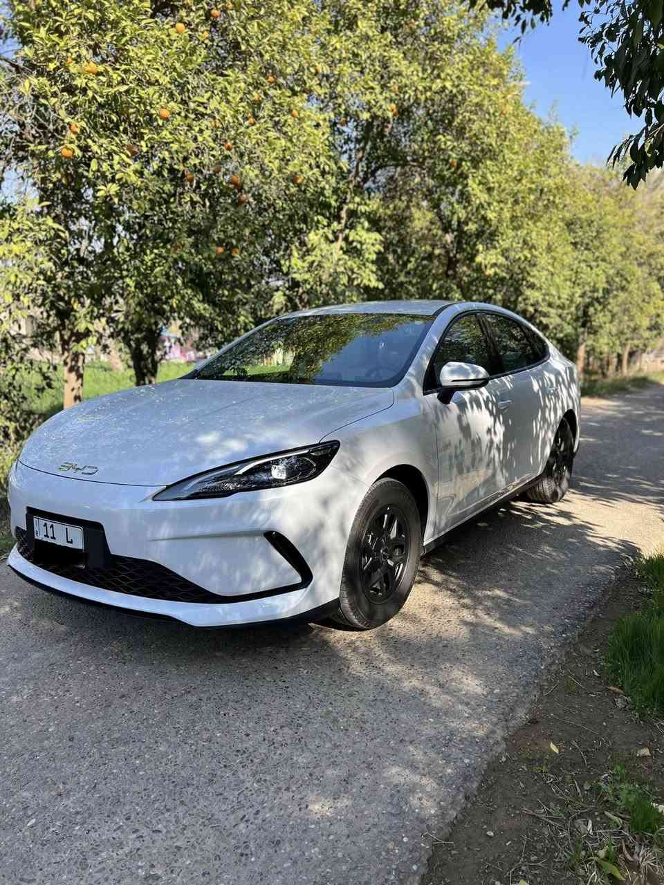 السلام عليكم للبيع
بي وادي  سيل 05 2025  زيرو 
بلكن هايبرد  ثلاث انظمه هايبرد + بانزين  شحن ذاتي + شحن خارجي تمشيك2200  كيلو سعه خزان الوقود 65 لتر 
ملحقات شاحن اصلي و كارت دخول 
عداد  كليومتر صفر
مثبت لوحات سنويه
محرك يعمل لشحن البطاريه فقط  1500 هجين ثلاث انظمه شحن ذاتي + هايبرد + شحن خارجي 
داخل جلد ابيض لونين  بطاين بوب جلد ابيض واسود 
دركة دي جلد وحياكه 
بكلايت لد خليه دخاني لون 
بصمه +كارت 
هاندر بريك بصمه اوتو هولد 
كيجات شاشه 
شاشه كبيره تبريد شاشه 
لايت ليد لايت اوتو  + لد صباحي 
اشاير مري
تبريد قطعتين 
ويل كب اسود
مكان السيارة بغداد للاستفسار الاتصال على الرقم 
***********
***********
