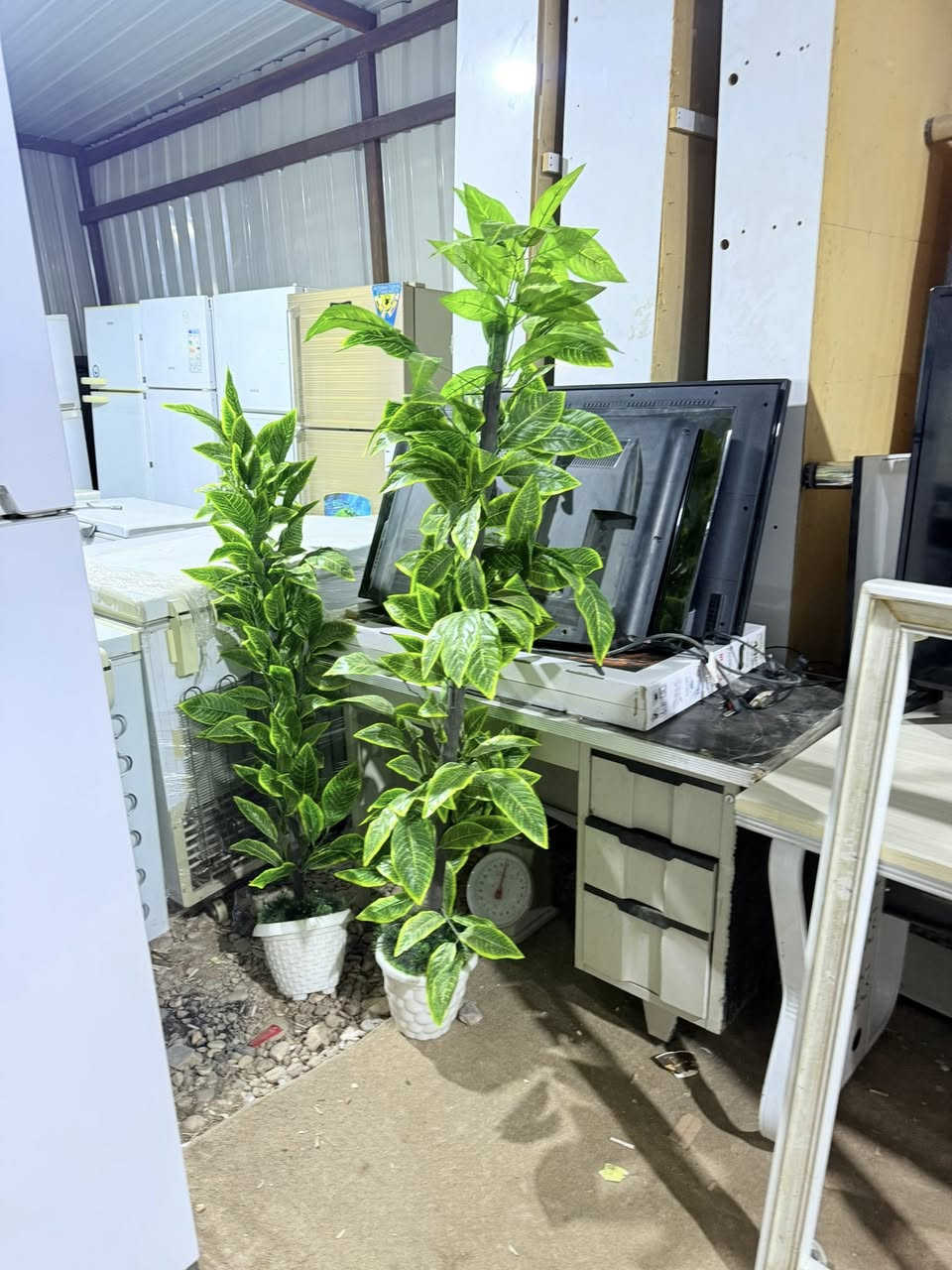 مزاد الثقه لبيع وشراء كافة الأثاث المستخدم الباله 
العنوان بعقوبه بداية كاطون الرازي


**إذا كنت صاحب هذا الإعلان وتريد حذفه لأي سبب، رجاءا أرسل رسالة إلى الدعم الفني**