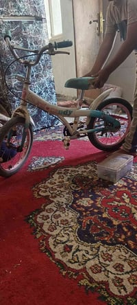 باسكل • نضيف • حك