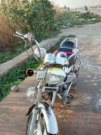 جني • اوراق كامله • تقاطع قدس