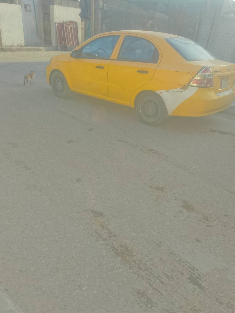 سلام عليكم افيو2011 خليجي  لون اصفر  اصل لاضربه ولاصبغ دحجات خفيفه فقط حداديه تايرات جدد باتري جديد تبريد شغال كير نضيف مكينه ناعمه اوحلوه بدايت تبخير بس مابين دواخل حلوة كهربائيات شغالة كلة السعر 37 *********** تحويل ثاني يوم غرامات مامطلوبه ولاربع هيئة هليه 200 الف فقط اومراوس حسب القناعة البصرة, العراق
