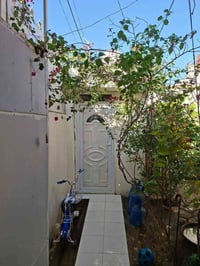 مجمع الكرار • ١٦٠م • حديقة