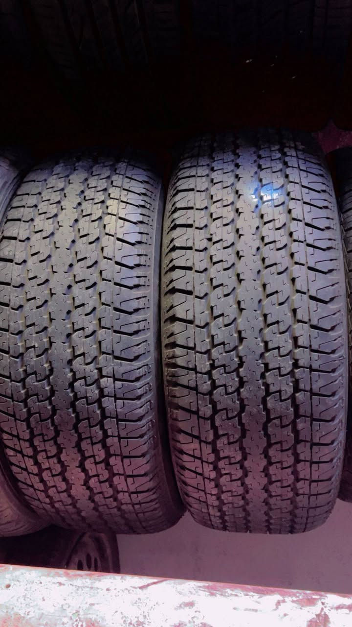 سلام عليكم تم وصول وجبه حاويتين  تايرات باله بنواعه مع وجود تايرات جارجر وجارنجر رياضي وتو سايز مع وجود الويل العنوان الدوره مجاور بانزيخانه المفرك مدخل باب الحاره مهديه الثانيه للاستفسار لتصال علرقم
***********

***********
