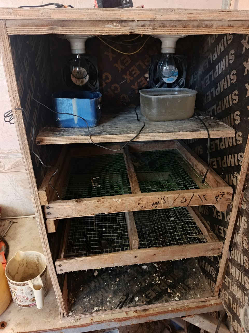 سلام عليكم فقاسه للبيع نسبت التفقيس 90/100
خير من الله سبب البيع مامتفرغ اله عندي شغل مكانهى فرع الوركاء سعره 170وبيه مجال بصيط وانه خادم لطيبين ***********
