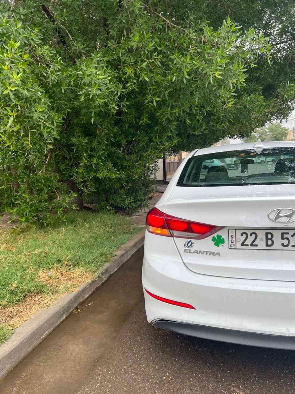 السلام عليكم للبيع النترا 2018 رقم اربيل
بيها جامغ مبدل مال صدر وبيها بارد باب الصدر خفيف وتكشير خفيف 
سستم صوت رهيب  تبريد تدفئه صدر امامي خلفي جاهز نضيف مكينه كير at المرغوب سياره جاهزه كلش السعر 118  وبي مجال  الرقم ‪‪0772 144 6038 بغداد حي العامل
