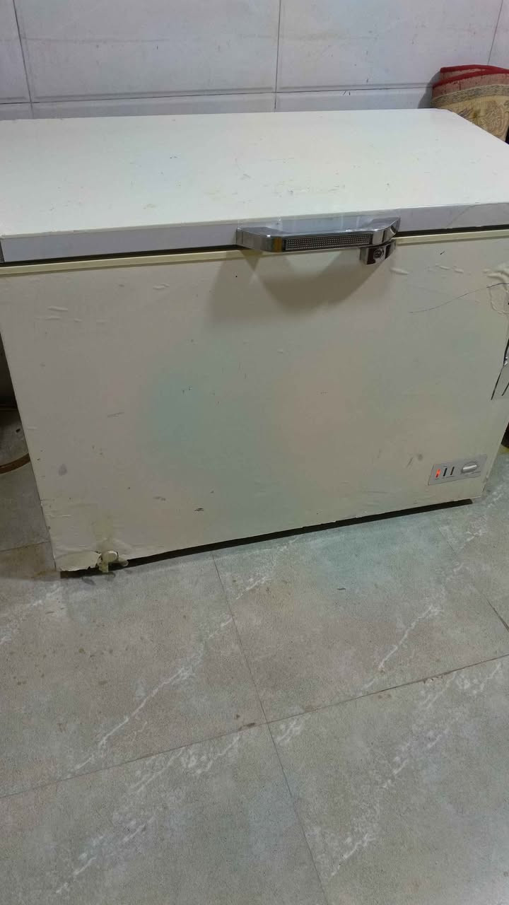 المكان كربلاء حي القدس كربلاء, العراق


**إذا كنت صاحب هذا الإعلان وتريد حذفه لأي سبب، رجاءا أرسل رسالة إلى الدعم الفني**