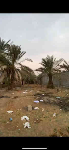 يا الله السلام عليكم ورحمة الله وبركاته 
بستان للبيع بمساحه 800 متر طابو ملك 
صرف تحويل سهم واجهه الاض 15 ونزال 63 تتوفر كافه الخدمات شارع 12 متر السعر 170 وبيها مجال العنوان ابي الخصيب منطقه محيله للاستفسار عن العقار ماعليك بس تتواصل واحنه بخدمتكم (***********) البصرة
