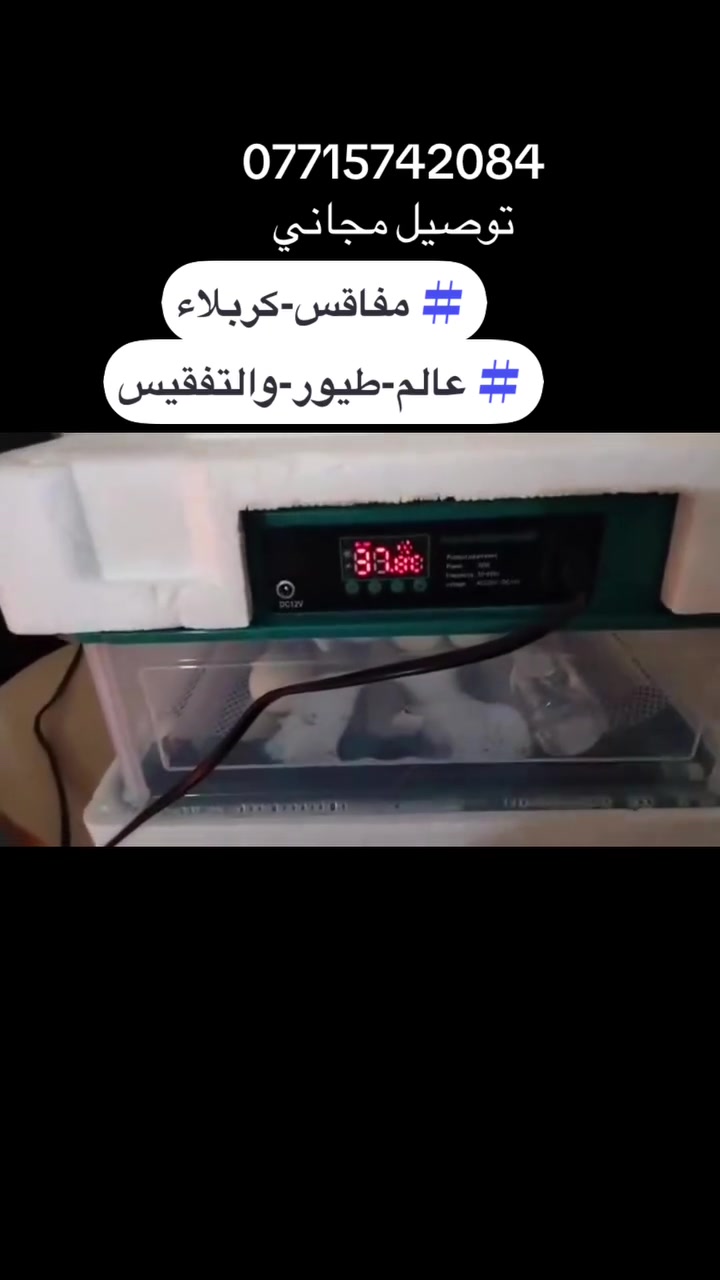 🔥 عرض خاص – فقاسة الامتياز الإيطالي 🔥
🥚 سعة 50 بيضة وتقبل جميع أنواع البيض

⚡ تعمل كهرباء + بطارية

🤖 فول أوتوماتيك: حرارة، رطوبة، تقليب

💧 نظام خزانات تقطير + سونار فحص البيض

💥 السعر: 90 ألف بدل 120 ألف

🚚 توصيل مجاني-جميع المحافظات 

⚠️ الكمية محدودة – للحجز راسلنا خاص

***********

ليث المهندس 

(عالم الطيور والتفقيس)

( مفاقس كربلاء)
