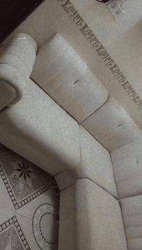 ديوان لبيع كلش نضيف السعر 250 وبي مجال قليل تصال ***********
