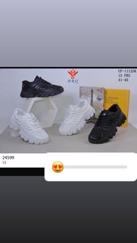 ترانشوزات العيد • ٤٠-٤٩ • عانه