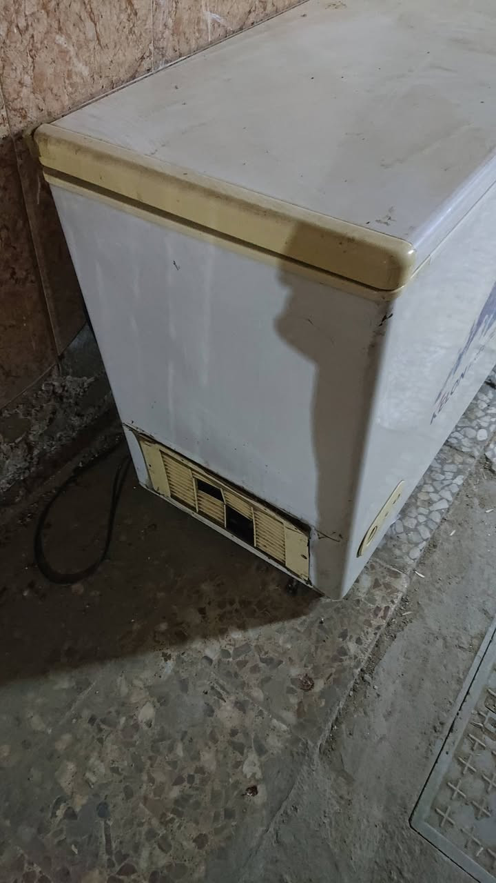 مجمده كيلون الحجم الوسط تجميدها فول ماملعوب بيها السعر 100 الف


**إذا كنت صاحب هذا الإعلان وتريد حذفه لأي سبب، رجاءا أرسل رسالة إلى الدعم الفني**