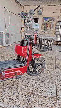 دراجة شحن • حجم ١٤ • العقل عطلان