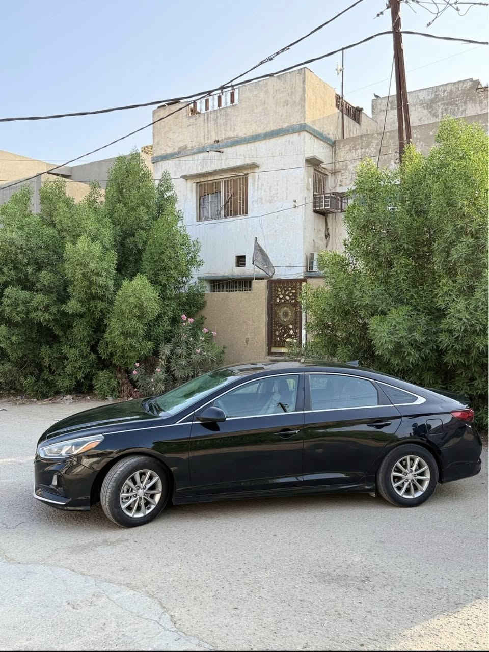 🔹️سلام عليكم
🔹️سوناتا 2019 se رقم أربيل 

🔹️مكينه 2400

🔹 شاشه كبيره 

🔹️كامره وحساسات خلفيه

🔹️تحكم ستيرن جهتين

🔹️3 انضمه قياده 

🔹️ايكو سبورت

🔹️سياره نضيفه وجديده كلش

🔹️صبغ قطعتين بدون ايرباك السونار بلمنشور

مكاني بابل مراوس بجارجر مع فرق للاستفسار ***********
