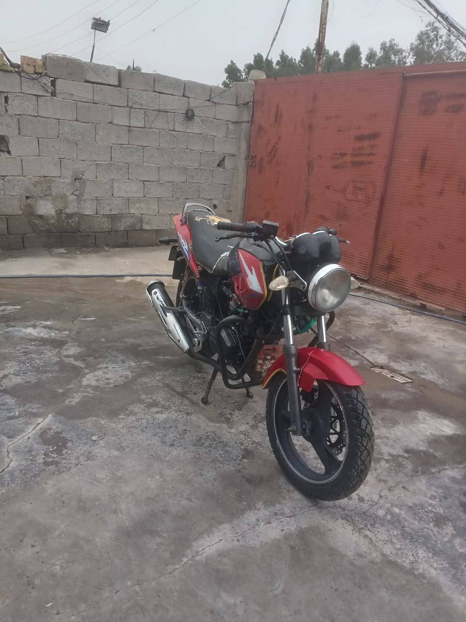 دايون 2014 اوراق اصولي تجفيت  سعر 675  مكان بغداد تقاطع النهروان ***********
