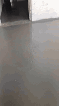 سلام عليكم نجارينه حدادينه ابو بيت هاذه شقلنه اليوم شقل مرتب علا قياسات المطلوبه يلي عنده ارضيه رباط تصليطه صطح حنه بلخدمه  داخل البصره شغل درجه اولى سعر مناسب***********
