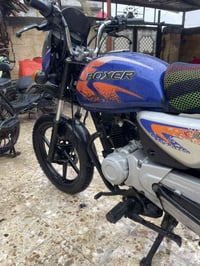 بوكسر • فحل • ٢٠٢٣