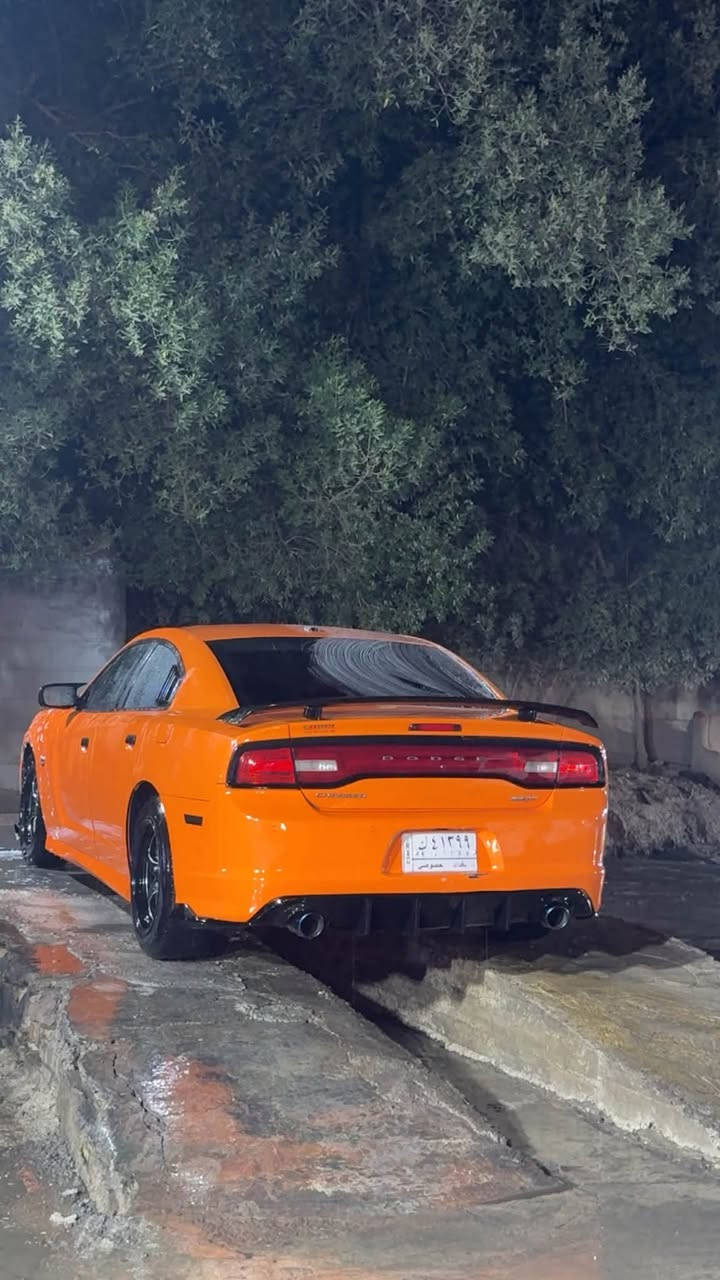 السلام عليكم
سيارة جارجر 2014 
مكينة 8 سلندر هيمي مكينة 5.7 PULS 
وارد امريكي
السيارة محدثة SRT بالكامل 
من الالوان النادرة والمميزة 🍊 برتقالي 
ماشيه 80 ميل 
السيارة ما مشتغلة على الخط 
مكينة وكير وكالة 
السيارة عزمها فوري وثبات قوي واداء مميز وصوت رياضي عالي 
السيارة عليها تفريغ وشايل الدبات وبرمجة سيفتي وبوب كورن وشوته رياضي KN
بلكات ريسنك 
صدر جديد 
تخم تايرات جديد 
وعليها ويل 20 عنكبوت اصلي جديد مال تفصيخ وليس تجاري
السيارة ما نازلة استعراض ابد
السيارة نظيفة جداً ناقصها فقط اشياء بسيطة حتى ما تكلف هواي 

مواصفات السيارة 
شاشة SRT
دركة SRT بس الدركة سعرها 700$
شوته رياضي KN
منظومة تبريد جديدة تبريدها ثلج
كشن السايق كهربائي فقط
كامرة خلفية 
نظام سماعات BEATS AUDID
تشغيل عن بعد 
تحكم ستيرن 
كشنات مخمل
كشنات تدفئة 
عليها لايت زنون عالي وعدسات LED جديدة ب 300$
كير طيارة 
لحية SRT
دفيوزر SRT
لد سموك جانبي 
زعانف 
ترحيب ابواب RT
حمام كامل غسل للسيارة قبل شهر يم مركز TAN 
بوليش ونانو سيراميك 
السيارة معتني بيها كلش ومصروف عليها هواي 
وبيها بعد هواي موصفات 

الحادث 
السيارة بيها ضربة بالجاملغ الامامي الايمن من امريكا ما واصل للشاصي

السعر 160 ورقة وبيها مجال للشراي يتدلل

للأستفسار ***********
***********
