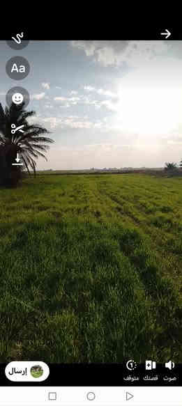 للبيع دوانم طابو زراعي سند 25 وجه علئ شط الفرات متوفر فيها الماء طوال سنه فيها الكهرباء والمدارس ومحاطه ببزول وفيها نخيل واشجار الكميه من 10 دونم الئ 1000 دونم سعر الدونم 3 مليون *********** محافظه الديوانيه تبعد عن الحمزه شرقي 30ك وعن الرميثه 30ك
