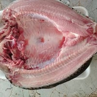 سمك • سمك ناعم • دجاج