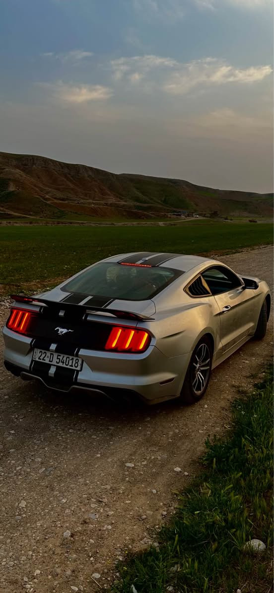 فورد موستنک ئيكوبوست بريميم 2017
كلش نظيف و طيب
كير محرك بشرط  غير مفتوح 
بي ٣ قطعات و مكان بارد
سعر ١٣٩$ بي مجال 
***********
واتساب - فايبر
اربيل أربيل, العراق
