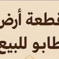طابو سكني • ٨٧م • سبع ابكار