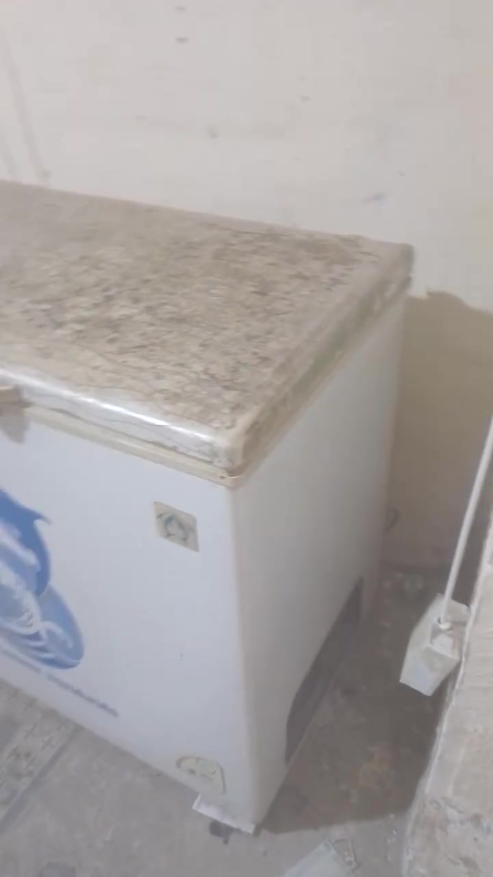 مجمده ابلاديه سعر 125الف


**إذا كنت صاحب هذا الإعلان وتريد حذفه لأي سبب، رجاءا أرسل رسالة إلى الدعم الفني**