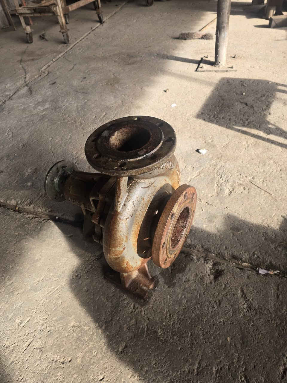 للبيع خنزيرة 5x4  المانية  السعر ٣٠٠ الف العنوان حدودواسط بغداد قرب سيطرة الج  اسيا *********** اثير ***********
