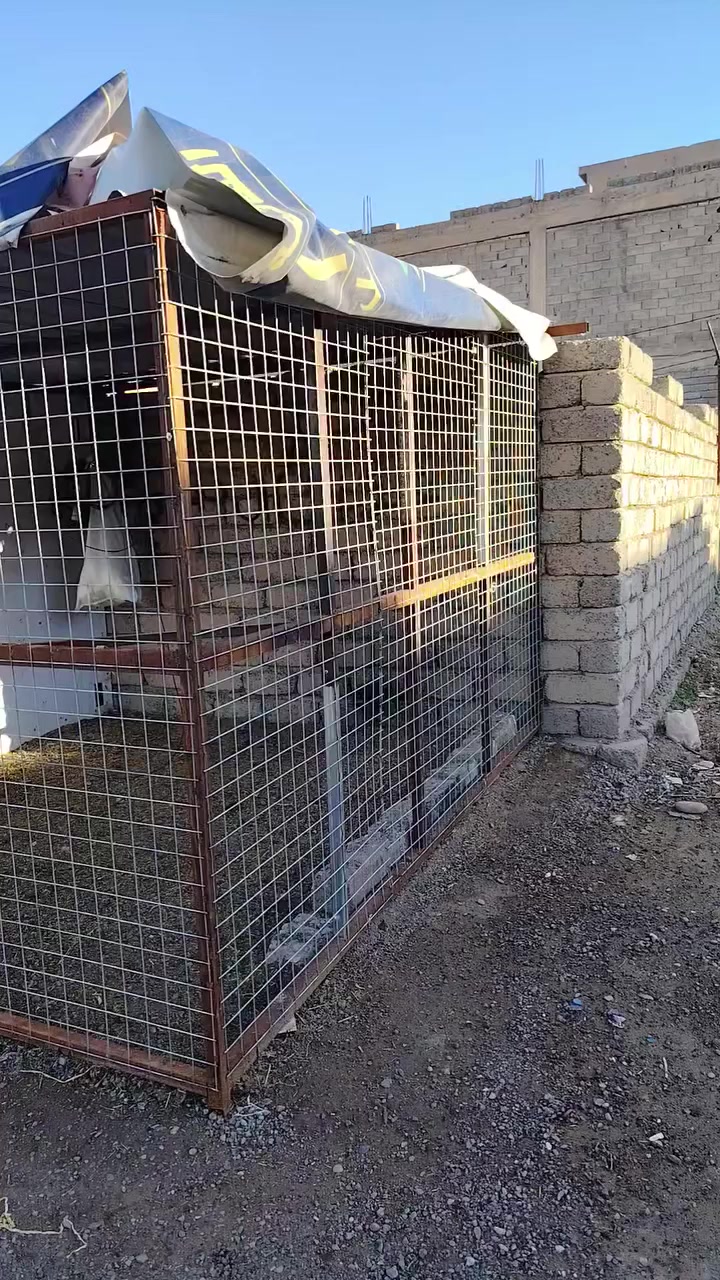 يوجد قفص للبيع قرب مطعم الزيتون
وجه القفص تسعه امتار وارتفاع مترين والعرض ثلاثه امتار
شغل فول الاستفسار على الرقم ***********
