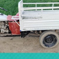 ستوته • شاصي مكفول • كهربائيات