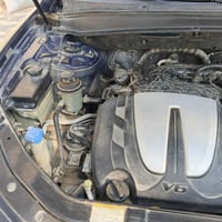 سنتافيا • وارد امريكي • بدون ايربكات