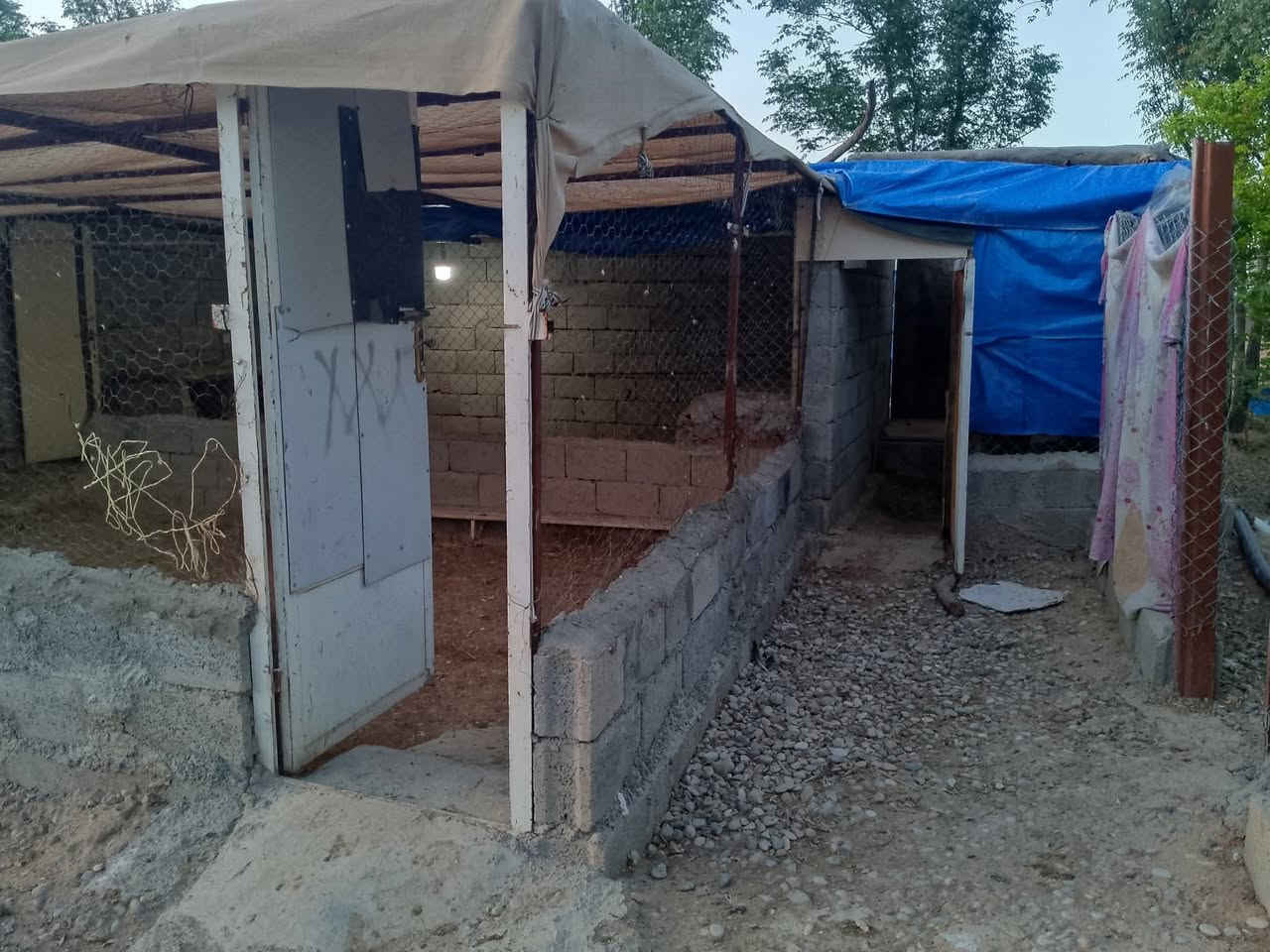 بــــــــــاخ  هـــــــــــات  فـــــــــــــەریـای کـــــــــەوە 🏃🏃
🎯نڕخی زۆر گونجاوە👉 بـــــلاش بــــــــلاش🙋🙋
🏦ئەم باخە بۆ فرۆشتن لە صالح ئاغا نزیک فەلکە
ئە گەر بێزاری لە جنجاڵی شار وەرە ئەم باخە جوانم بۆ هئناوی مالی سەفرەو سەیرانە🪴🪴
♦ئەم باخە زۆر جایزە   🥷🥷
هەمیشە نووسینگەی صالح ئاغامحمد پێشنگە لە ماڵی
 جوانوو هەرزان 
تێبینی . هیچ نووسینگەیک پۆستی نەکات لەگەڵ رێزم 

🔹رووی.خـۆری بـەیـانـی 3 دەقـە لـە جـادوە دوورە🙋
♠ڕوبەری 1دۆنموو چوار گۆشە
🔸ئاوی بیری تیایە ئەرکەوازی 
کامل سیاجە
ئەم باخە  کۆلانی پانە 
🔹 جئگای خانوویکی دیکەی تیایە 
♠500 داری بەرداری تێدایە
♦مەوقعێکی زۆر جوانی هەیە
♦دراوسێ زۆر چاکە
♦ماڵی دۆســـــتـــــــە
♦بۆ زانینی نرخ خاڵێک لە کۆمێنت دانێن
♦ئەم  باخ مقالەو جئگای نانخواردای جوانی بۆ کراوە
🔶 مطــــــــــــــــــبخ 🫖🍽️
♦ ژوری نوستن
🔶 مشتەمــــــــەلات 🛁🚿 کاشی
♦حــمــام سـەرئـاو‌🪟کاشی

🌸🌸🌹🌹🌸🌸🌹🌹🌸🌸🌹🌹🌸🌸🌹🌹🌸🌸***********
🔴بۆزانیاری زیاتر پەیوەندی📲بکەن بە
💮📳نوسینگەی # صالح ئاغا محمد
🍁🍁🍁🍁🍁🍁🍁🍁🍁🍁🍁🍁🍁🍁🍁
***********
👇لایکی پەیجە کەبـکەن بــەرک نە بێت👇

#‌‌_ئێوەی بەڕێزیش گەر موڵکتان هەیە دەتانەوێ بیفرۆشن
یان دەتانەوێ بەکرێی بدەن ئەوا دەتوانن تەواوی زانیاریەکان
#_ناونیشانی تەواوی موڵکەکەت،
#_چەن وێنەیەکی موڵکەکەت،
#_نرخی گونجاوی موڵکەکەت،
#بنێرن_بۆ_پەیجەکەمان

                                          🌹🌹🌹🌹🌹🌹🌹🌹🌹🌹ەر       
🌹☎***********☎🌹🌹واتس ئاپ
 نووسینگەی صالح ئاغامحمد🙋🙋🙋
