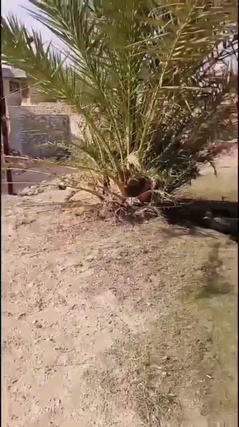 دار سكن للبيع مع قطعه أرض 
في حي الثمانية قرب دور الأرامل 
الطريق المؤدي الى مقبرة الثمانية
 * الدار تجاوز مع قطعه أرض طابو ملك صرف
تفاصيل المرتسم مذكور في التعاليق 
السعر 18 مليون وبيها مجال
استفسار تواصل مع صفحة او رقم
***********
