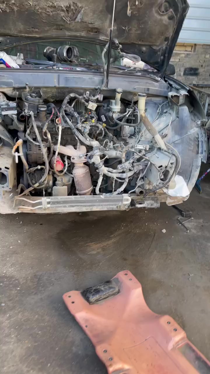 السـلام عليكم اليـوم اجتنه سياره اخونه ابو ايه
من محافضه كربلاء المقدسهً مثل متشوفين تفاصيل بلفديو سياره رجعت خير من الله يتوفر جميع أدوات ترافرس + اكاديا

📍 بغداد الزعفرانيه مجاور جامع العلي العضيم 

 اخوكم الفيتر حسين الجنابي فيتر امريكي

*********** 📞

— في ‏بغداد الزعفرانيه‏.
