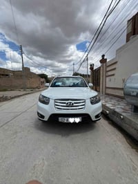 سنتافي • ٢٠١١ • ٧ راكب