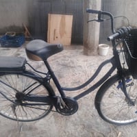 باسكال • دراجة • مكان ع شط