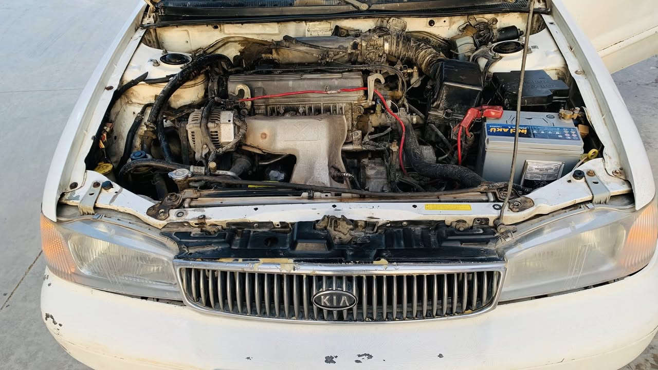 كيا كريدوس موديل 1995مكينه ابو جف ياباني كير ومكينه جدد اوتماتيك حاديه امامي خلفي حلوه كهربائيات كله ع بلاد رقم نكليزي تحويل ثاني يوم بسمي تبريد تدفئه شغال جام 4 اوتماتيك لايت زنون عالي ناصي بدون ضربه شراي خابر خاص لاتدخل مكلف بنشر السعر 28 مكان بابل ***********
