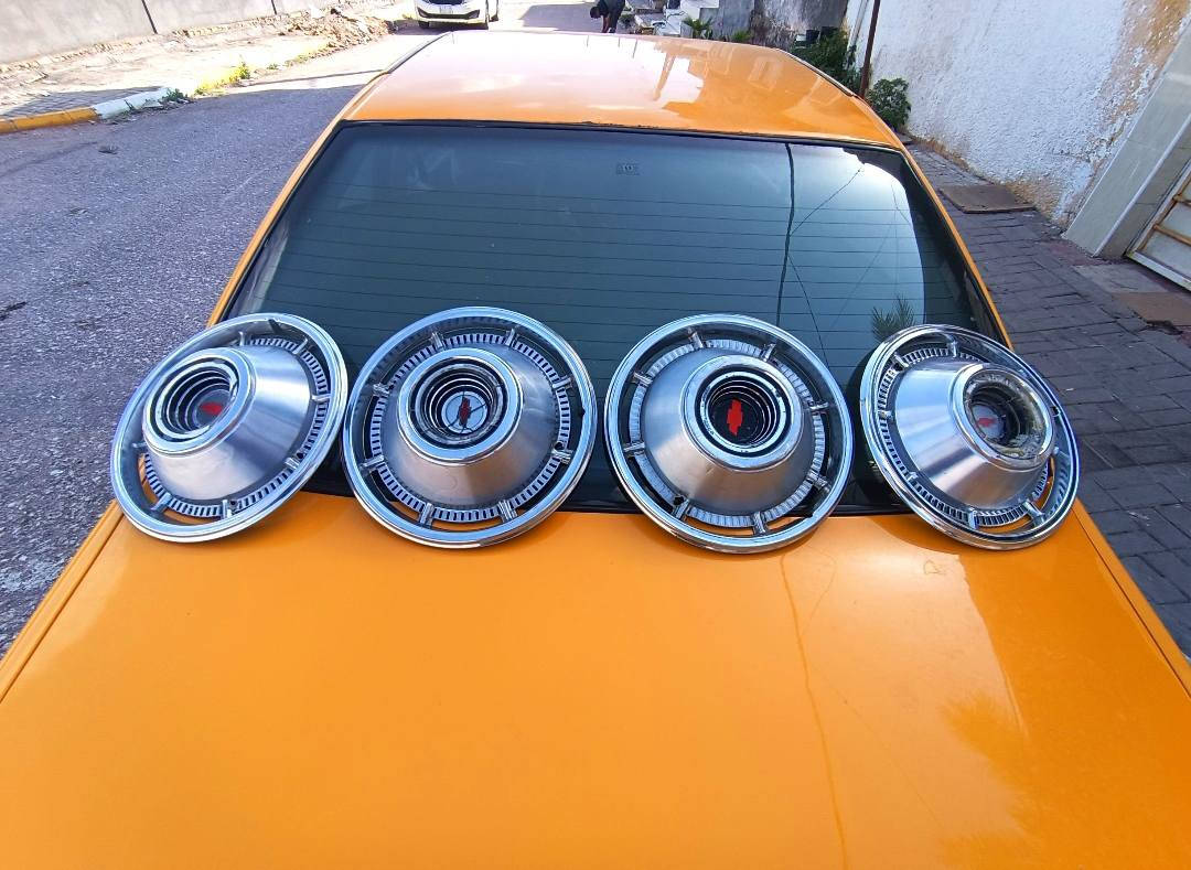 السلام عليكم 
للبيع تخم ٦٦ ملس
مكصوصه سجاجينهن ١٣
ويرهمن ١٤ بلطوك
بلاديات شرط مابيهن لا بارد ولا لحيم 
يرهمن بيع ومراوس بتخم ابو الاسد 14
اي ستفسار ***********
