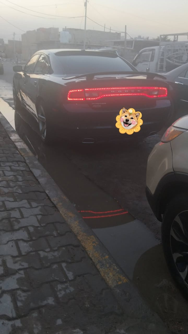 كفاله من الكص جاجر سوده 14 فول واحد عل واحد مياويه يعني فول اس ارتي قطعه صبغ جاملغ كشن تبريد تاتفيه ستريت حار كلاص حار بارد سكليتر كهرباء فتحه شفتات كشن ميموري ستيرن كهرباء تخم تاير ويل كب نجمه جديد حداديه كفاله سياره جديده سعر ***********
