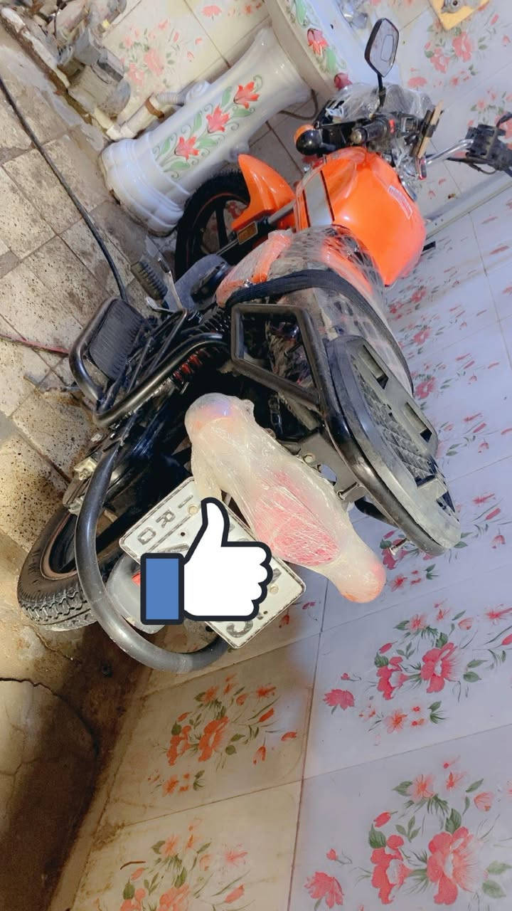 للبيع
دايون نفخ 2021 طالعه 2023
رقم وسنويه تحويل ثاني يوم رقم كربلاء مشروع وطني تشغيل ه عن بعد وبصمه
تاريات زوج توني شادهن محرك نضيف برغي مامفتوح بي دهن كل 20يوم 
عنوان الناصريه مركز***********
اتصل وبخدمتك
