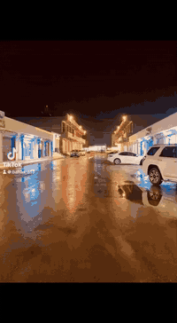 أحذية رياضية • ترانشوزات أصلي • مقابيل المهره