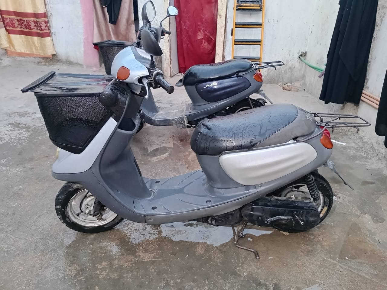 دراجات منغولي 2003 العنوان كربلاء حي الغدير دراجات محركات ما مفتوحه دراجات كله بلاديرالسعر السعر 400 وبيهن مجال والشراي يتصل على الرقم***********
