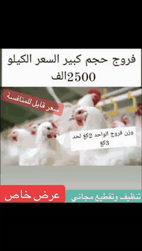 شاهين ابو شيرو • فروج كبير • توصيل مجاني