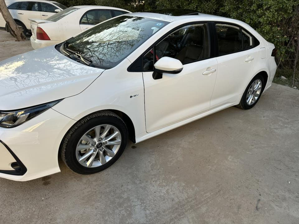 للبيع كورلا هايبرد موديل 2025 رقم بغداد باسمي  ماشيه 4 ألف زيرو فول مواصفات عدا الكشن مو كهرباء مكفوله كفاله عامه مكاني بالحله 
السعر 160
***********
