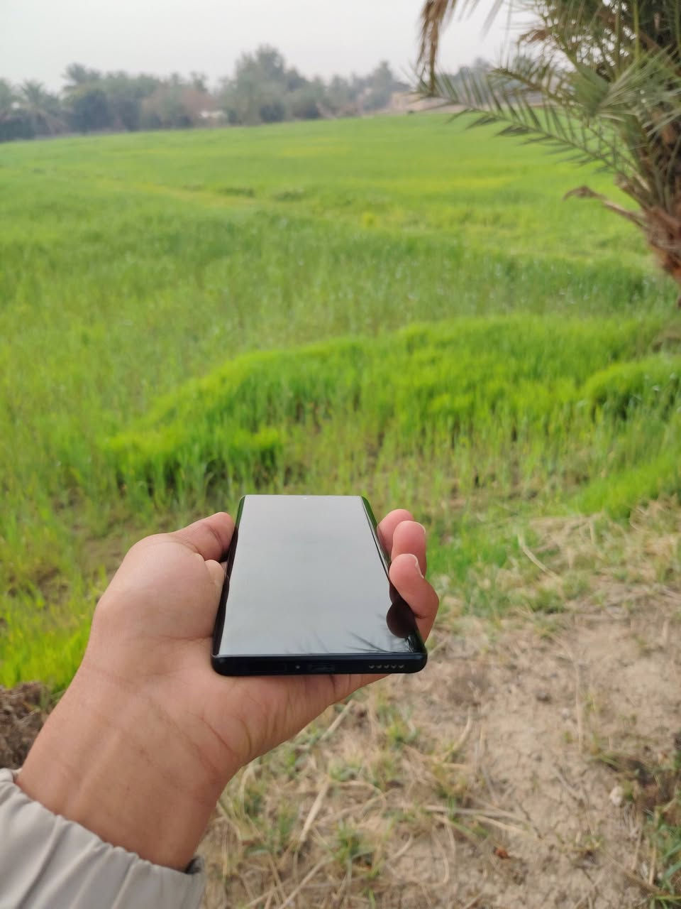 لبيع مبايل HONOR X9a 5G✅
مكفول كفاله عامه بي بس كسر صغير بلكامره بس مامثر علا الكامره ✅
ذاكره 256 والرام8✅
مابدل بي اي شيء✅
نظافه85٪✅
بدون ملحقات✅
بوبجي 60افريم✅
السعر 180الف وبي مجال بسيط✅
يوجد توصيل داخل النجف فقط✅
موشراي لتعبني واتعبك✅
لتواصل***********✅
او مراسله الصفحه✅
مكان نجف: عباسيه.
