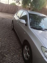 صابونه • ٢٠١٠ • سوك الشيوخ