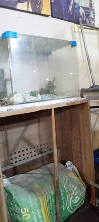 اغراض كوفي • اراكيل • كربلاء حي المهندسين