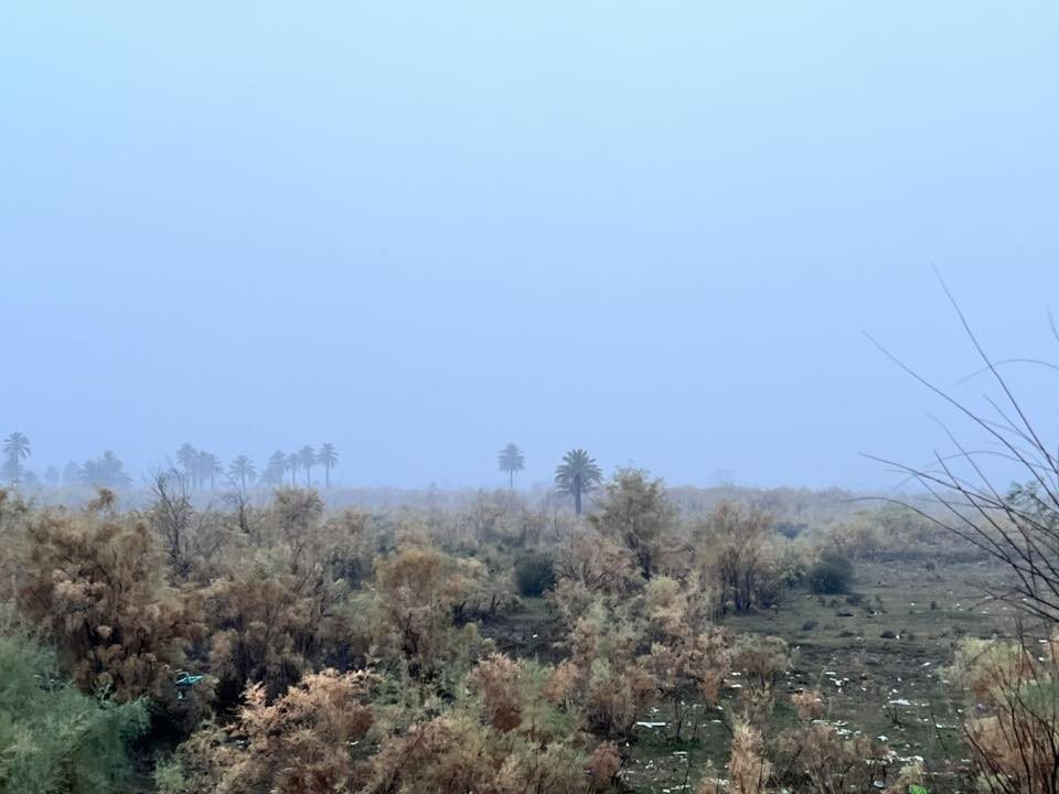 السلام عليكم ارض
ارض زراعيه طابو سند 25 تسجيل بأسم المشتري 

تصلح سكن ومزارع على شارع 60 سايدين تبليط 

تعبد عن طريق بغداد موصل 1 كيلو 
واصلها ماء و كهرباء جاهزه

العنوان الدجيل  للتواصل والاستفسار الاتصال. على الأرقام 

***********

‭0782 498 6670‬
