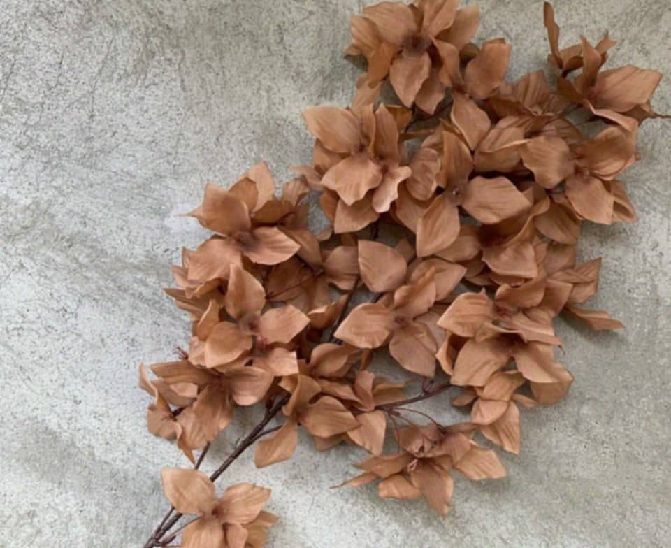 أغصان ورد فاخر للمناسبات والتصوير مناسب للاعراس، أعياد ميلاد، حفلات التخرج 🌸
متوفر فقط لون جوزي (خريفي) ، توصيل إلى جميع محافظات، للحجز والاستفسار التواصل معنا!


**إذا كنت صاحب هذا الإعلان وتريد حذفه لأي سبب، رجاءا أرسل رسالة إلى الدعم الفني**