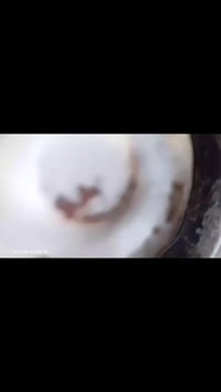 بريجيو • موديل ٩٥ • اجرة