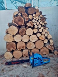 أوروبي أصلي • بلا مشاكل • رانية السليمانية